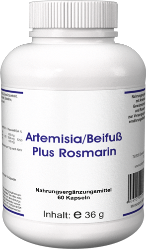 Artemisia/Beifuß