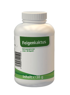 Feigenkaktus